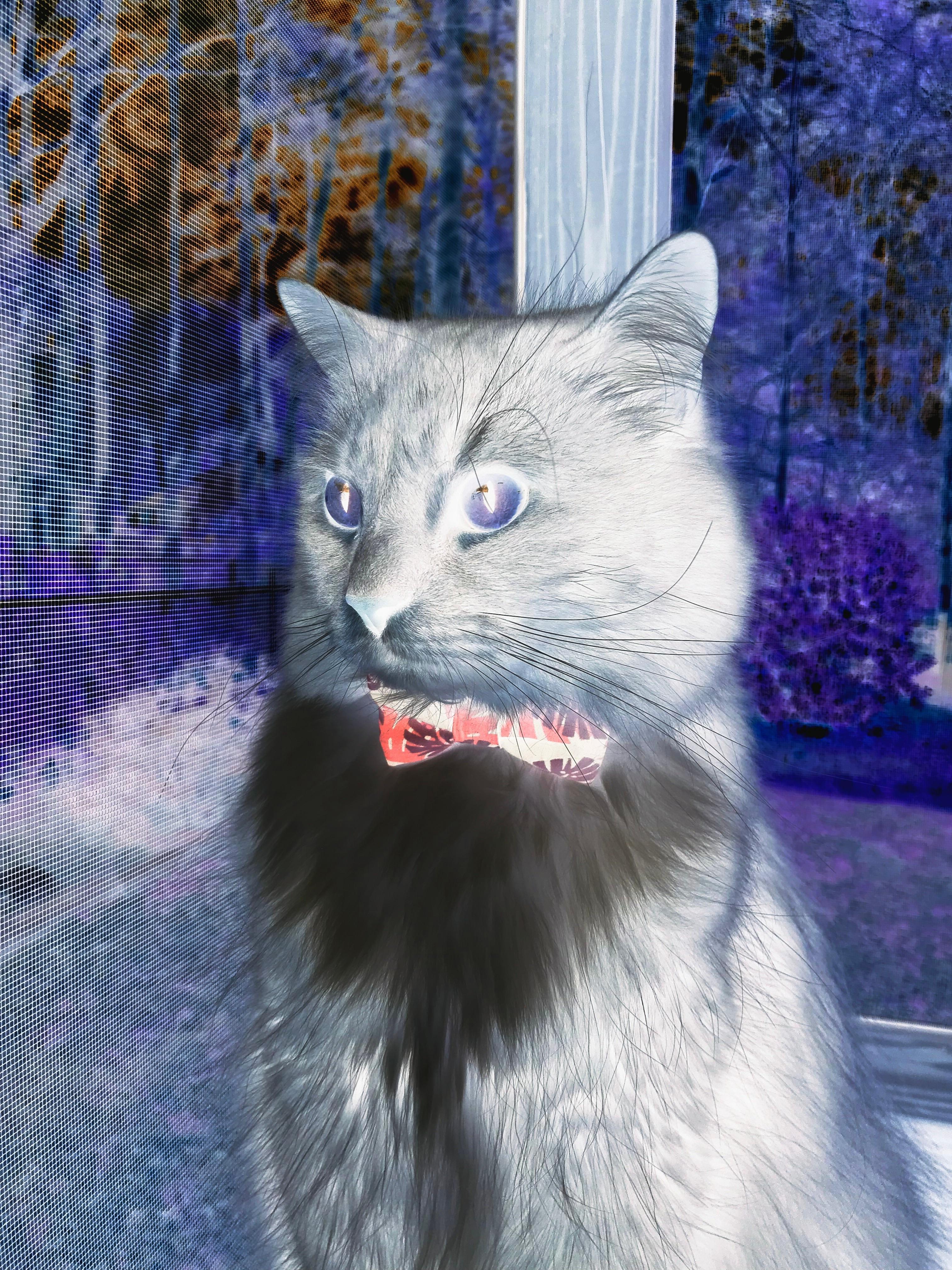 九游体育登录入口-1998年总决赛第六场：乔丹带领公牛在倒数第二分钟完成奇迹逆转，成功夺冠，成为他六夺冠军的经典瞬间之一。