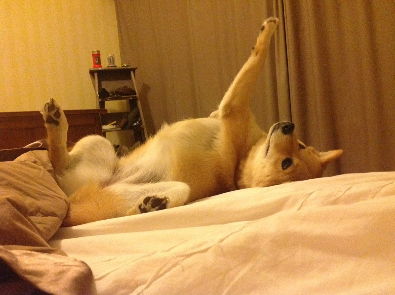 J9九游会-中国反曲弓男队在射箭世界杯韩国站获得团体银牌，反曲弓奥运会比赛规则