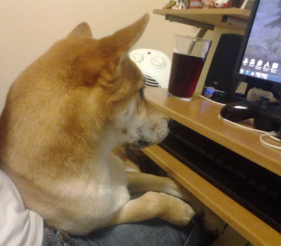 国际拳击联合会举办裁判培训班,国际拳击联合会拳王